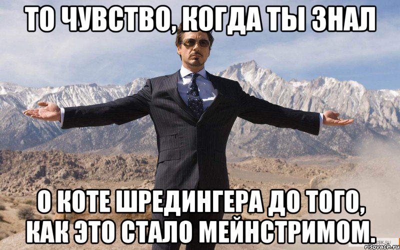 то чувство, когда ты знал о коте шредингера до того, как это стало мейнстримом., Мем железный человек