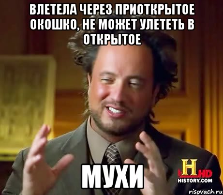 влетела через приоткрытое окошко, не может улететь в открытое мухи, Мем Женщины (aliens)