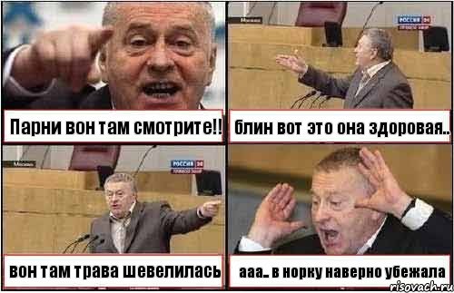 Парни вон там смотрите!! блин вот это она здоровая.. вон там трава шевелилась ааа.. в норку наверно убежала, Комикс жиреновский