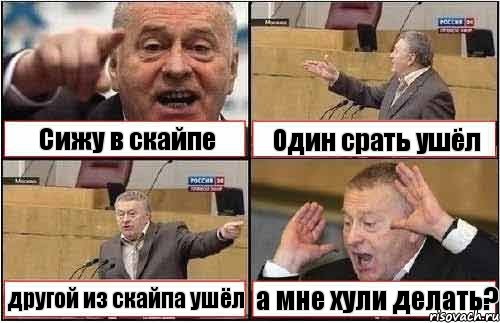 Сижу в скайпе Один срать ушёл другой из скайпа ушёл а мне хули делать?, Комикс жиреновский