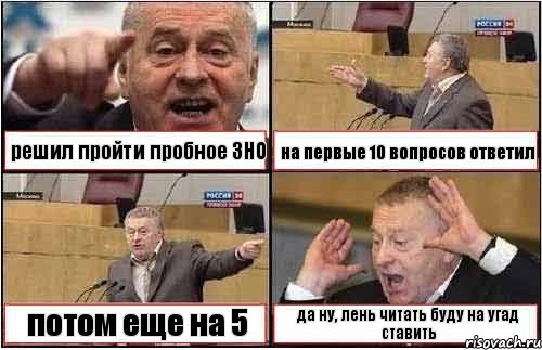 решил пройти пробное ЗНО на первые 10 вопросов ответил потом еще на 5 да ну, лень читать буду на угад ставить, Комикс жиреновский