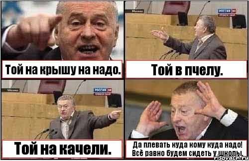 Той на крышу на надо. Той в пчелу. Той на качели. Да плевать куда кому куда надо! Всё равно будем сидеть у школы., Комикс жиреновский