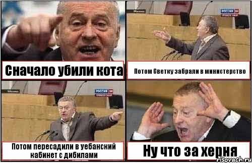 Сначало убили кота Потом Светку забрали в министерство Потом пересадили в уебанский кабинет с дибилами Ну что за херня, Комикс жиреновский