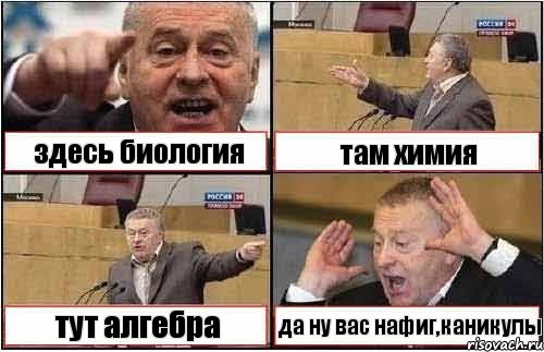 здесь биология там химия тут алгебра да ну вас нафиг,каникулы, Комикс жиреновский