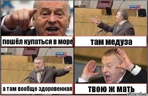пошёл купаться в море там медуза а там вообще здоровенная твою ж мать