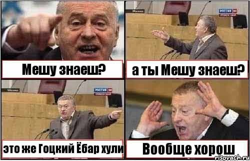 Мешу знаеш? а ты Мешу знаеш? это же Гоцкий Ёбар хули Вообще хорош