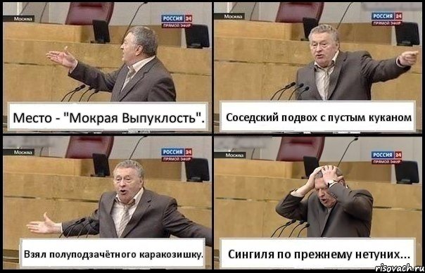 Место - "Мокрая Выпуклость". Соседский подвох с пустым куканом Взял полуподзачётного каракозишку. Сингиля по прежнему нетуних..., Комикс Жирик в шоке хватается за голову