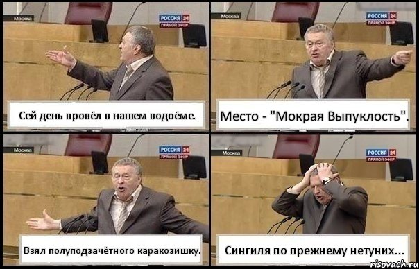 Сей день провёл в нашем водоёме. Место - "Мокрая Выпуклость". Взял полуподзачётного каракозишку. Сингиля по прежнему нетуних..., Комикс Жирик в шоке хватается за голову