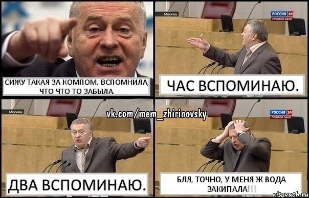 Сижу такая за компом. Вспомнила, что что то забыла. Час вспоминаю. Два вспоминаю. Бля, точно, у меня ж вода закипала!!!, Комикс Жирик