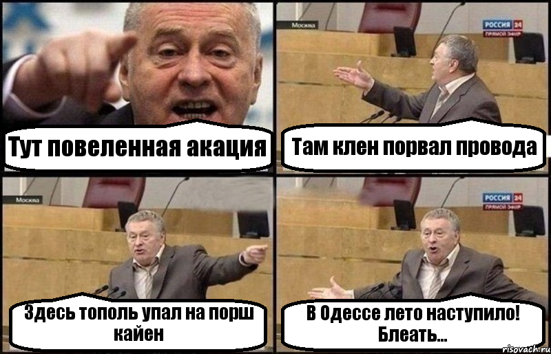 Тут повеленная акация Там клен порвал провода Здесь тополь упал на порш кайен В Одессе лето наступило! Блеать..., Комикс Жириновский