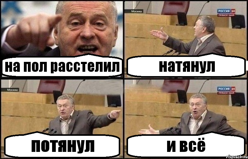 на пол расстелил натянул потянул и всё, Комикс Жириновский