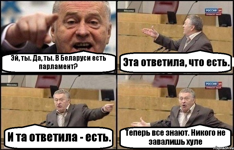 Эй, ты. Да, ты. В Беларуси есть парламент? Эта ответила, что есть. И та ответила - есть. Теперь все знают. Никого не завалишь хуле, Комикс Жириновский