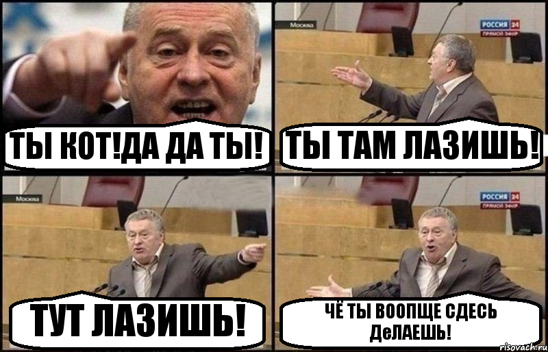 ТЫ КОТ!ДА ДА ТЫ! ТЫ ТАМ ЛАЗИШЬ! ТУТ ЛАЗИШЬ! ЧЁ ТЫ ВООПЩЕ СДЕСЬ ДеЛАЕШЬ!