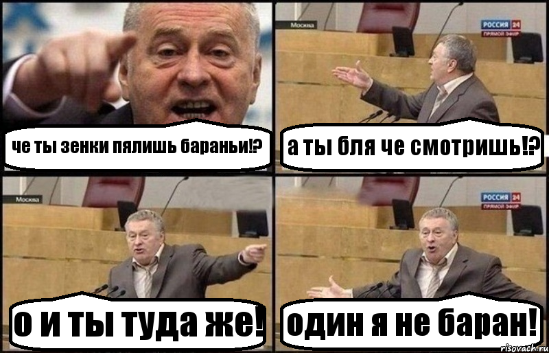че ты зенки пялишь бараньи!? а ты бля че смотришь!? о и ты туда же! один я не баран!