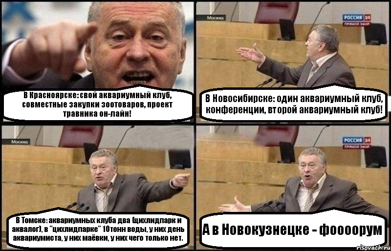 В Красноярске: свой аквариумный клуб, совместные закупки зоотоваров, проект травника он-лайн! В Новосибирске: один аквариумный клуб, конференции, второй аквариумный клуб! В Томске: аквариумных клуба два (цихлидпарк и аквалог), в "цихлидпарке" 10тонн воды, у них день аквариумиста, у них маёвки, у них чего только нет. А в Новокузнецке - фоооорум