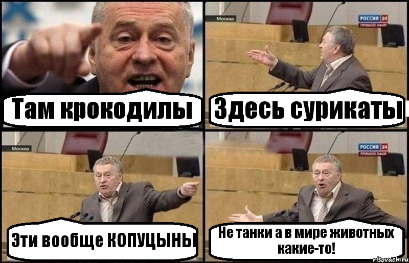 Там крокодилы Здесь сурикаты Эти вообще КОПУЦЫНЫ Не танки а в мире животных какие-то!