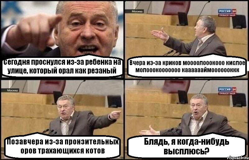 Сегодня проснулся из-за ребенка на улице, который орал как резаный Вчера из-за криков моооолооокооо кислое молооокооооооо кааааааймооооооккк Позавчера из-за пронзительных оров трахающихся котов Блядь, я когда-нибудь высплюсь?