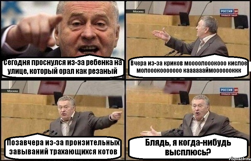 Сегодня проснулся из-за ребенка на улице, который орал как резаный Вчера из-за криков моооолооокооо кислое молооокооооооо кааааааймооооооккк Позавчера из-за пронзительных завываний трахающихся котов Блядь, я когда-нибудь высплюсь?