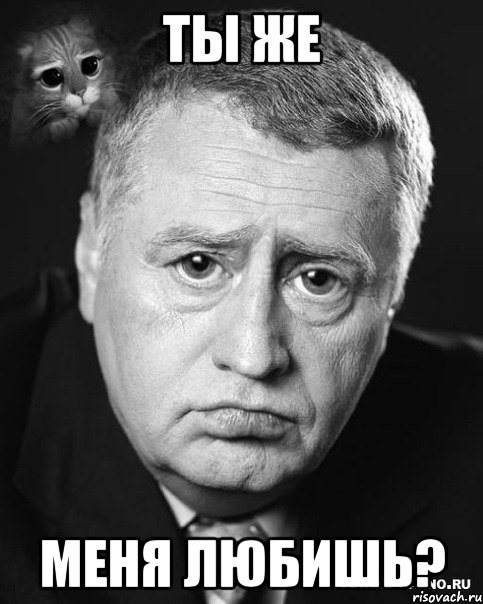 ты же меня любишь?