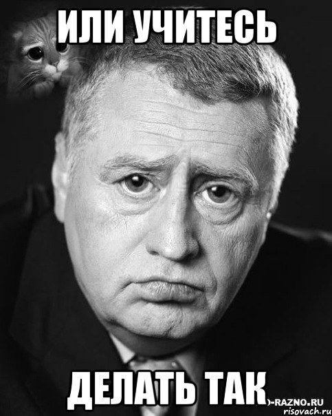 или учитесь делать так, Мем жириновский
