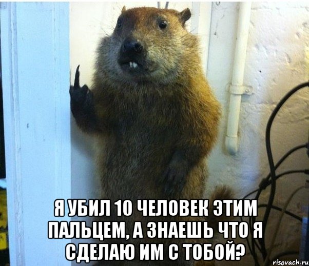  я убил 10 человек этим пальцем, а знаешь что я сделаю им с тобой?, Мем Жми спасибо если ты бобр убил че