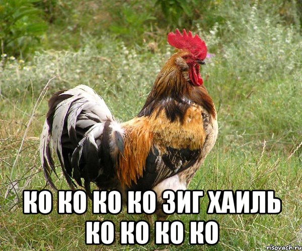  ко ко ко ко зиг хаиль ко ко ко ко, Мем ттт