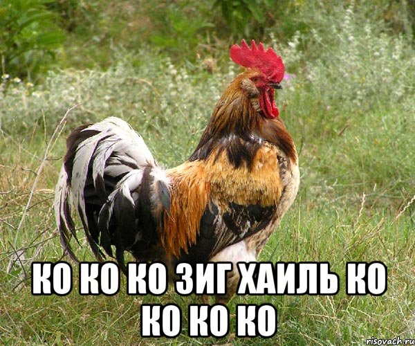  ко ко ко зиг хаиль ко ко ко ко, Мем ттт
