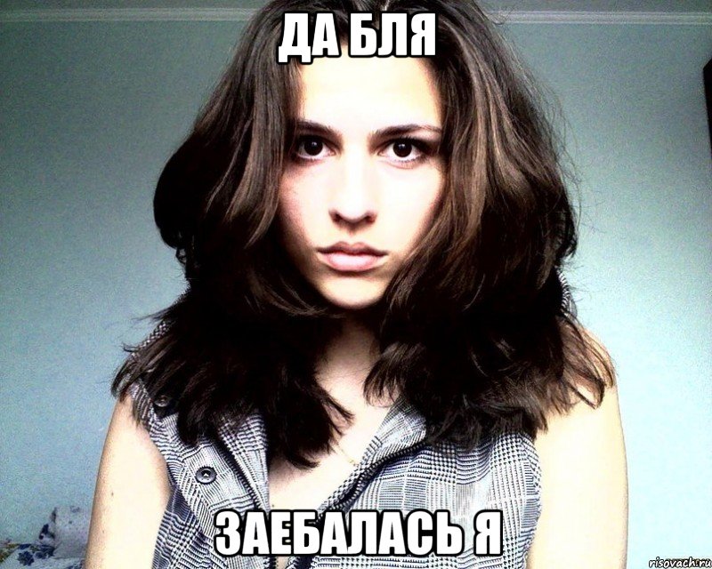 да бля заебалась я, Мем злата