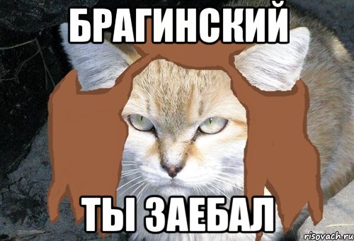 брагинский ты заебал