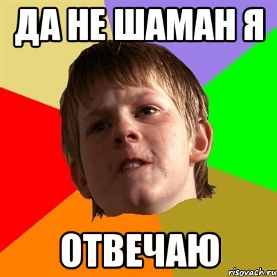 да не шаман я отвечаю