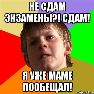 не сдам экзамены?! сдам! я уже маме пообещал!