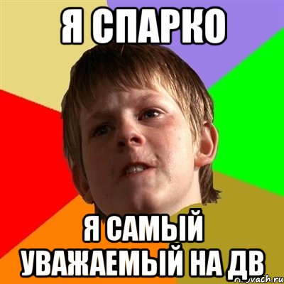 я спарко я самый уважаемый на дв