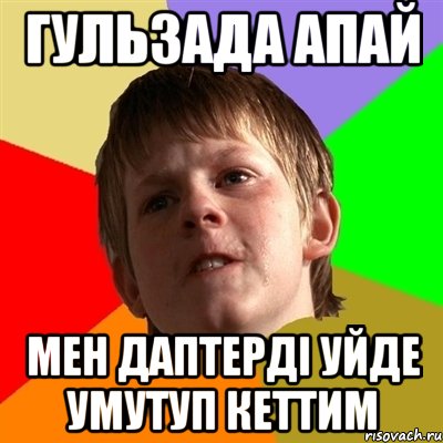 гульзада апай мен дaптердi уйде умутуп кеттим