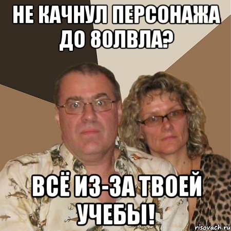 не качнул персонажа до 80лвла? всё из-за твоей учебы!