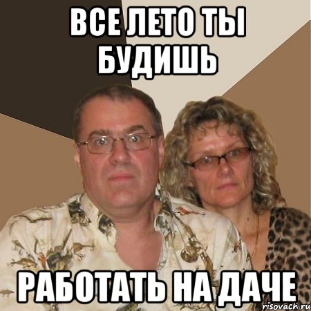 все лето ты будишь работать на даче