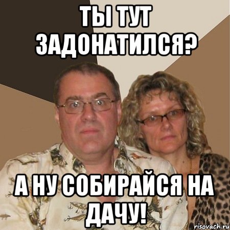 ты тут задонатился? а ну собирайся на дачу!