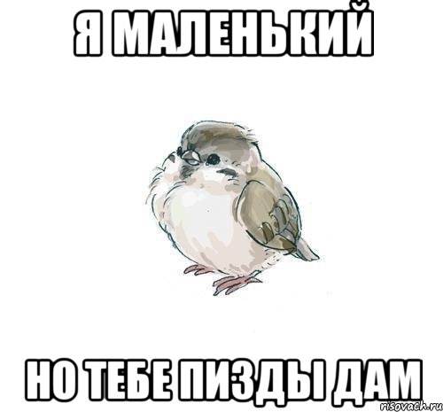 я маленький но тебе пизды дам, Мем 14