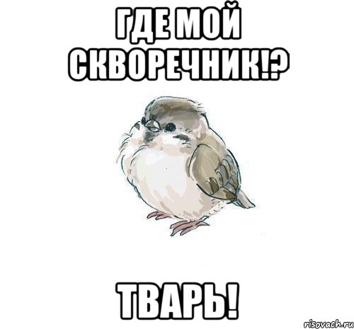 где мой скворечник!? тварь!, Мем 14