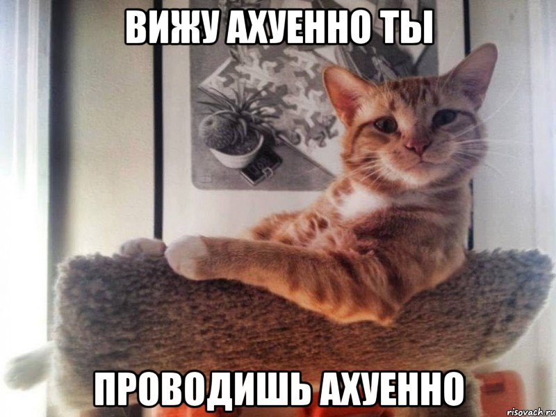 вижу ахуенно ты проводишь ахуенно, Мем 1