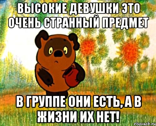 высокие девушки это очень странный предмет в группе они есть, а в жизни их нет!, Мем Вини Пух