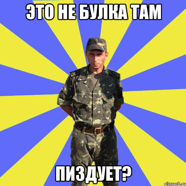 это не булка там пиздует?, Мем 1