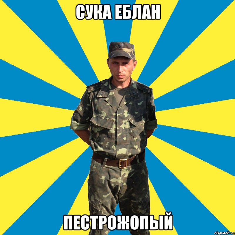 сука еблан пестрожопый, Мем 1