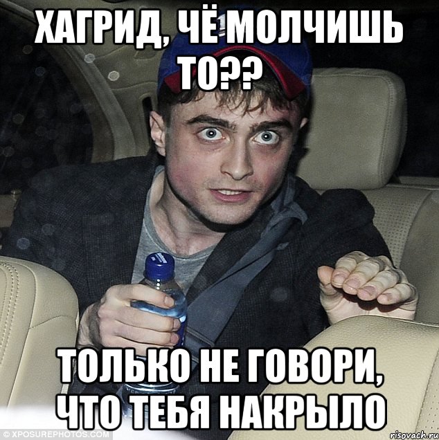 хагрид, чё молчишь то?? только не говори, что тебя накрыло, Мем 56