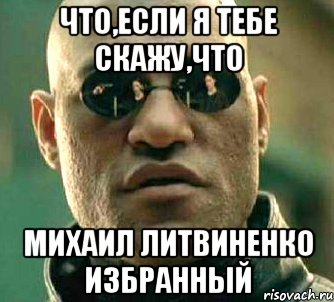 что,если я тебе скажу,что михаил литвиненко избранный