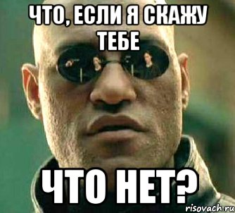 что, если я скажу тебе что нет?, Мем  а что если я скажу тебе