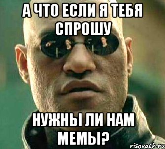 а что если я тебя спрошу нужны ли нам мемы?