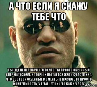 а что если я скажу тебе что ты еще не перекачен, и то что ты просто обычный сперматозоид, который пытается жить счастливо, что все твои охуенные моменты в жизни это просто мнительность, у тебя нет ничего как и у всех