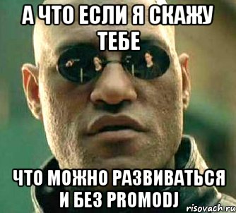 а что если я скажу тебе что можно развиваться и без promodj, Мем  а что если я скажу тебе