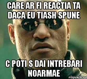 care ar fi reactia ta daca eu tiash spune c poti s dai intrebari noarmae, Мем  а что если я скажу тебе