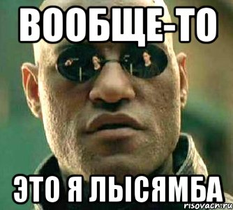 вообще-то это я лысямба, Мем  а что если я скажу тебе